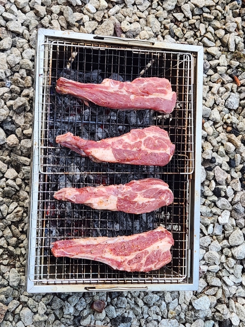 리뷰이미지