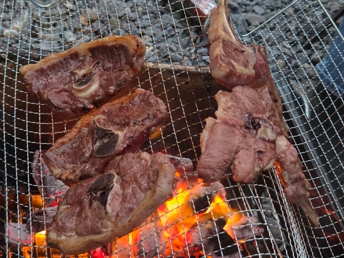 리뷰이미지